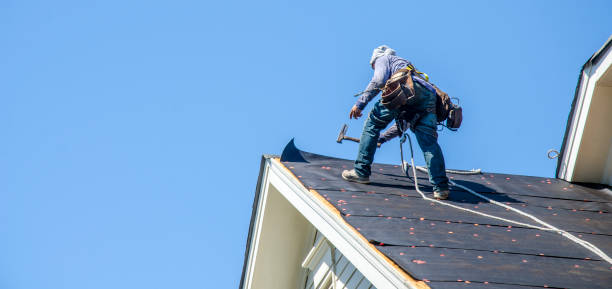 Best Roof Restoration Services  in Boyne City, MI